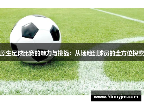 原生足球比赛的魅力与挑战：从场地到球员的全方位探索